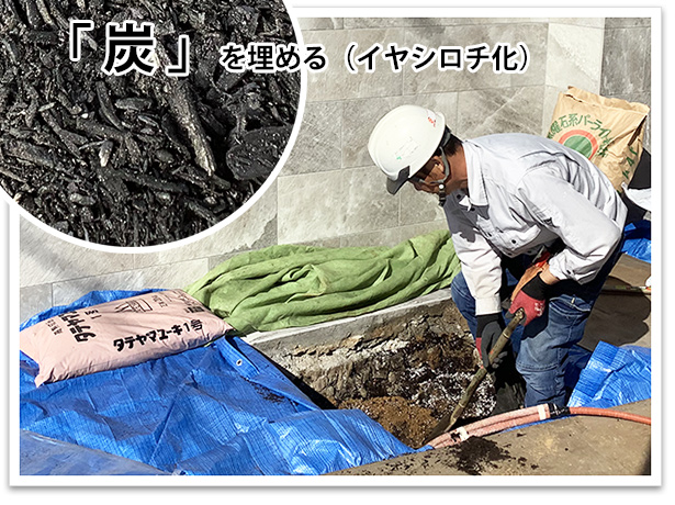 炭を埋めて動植物が元気に（イヤシロチ）