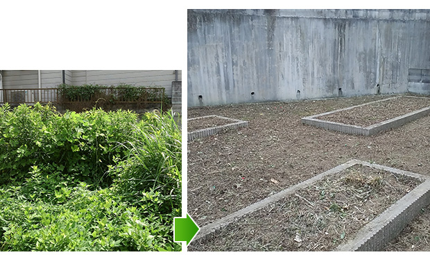 西京区の除草作業