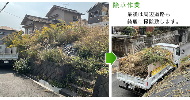 除草作業