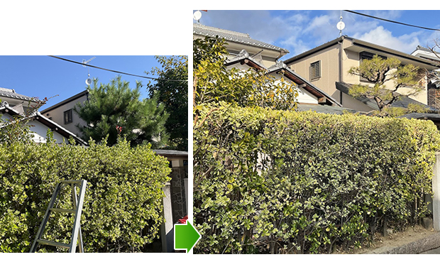 お庭の剪定(京都市右京区鳴滝)
