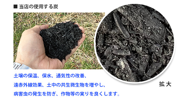 炭を埋めてイヤシロチ化